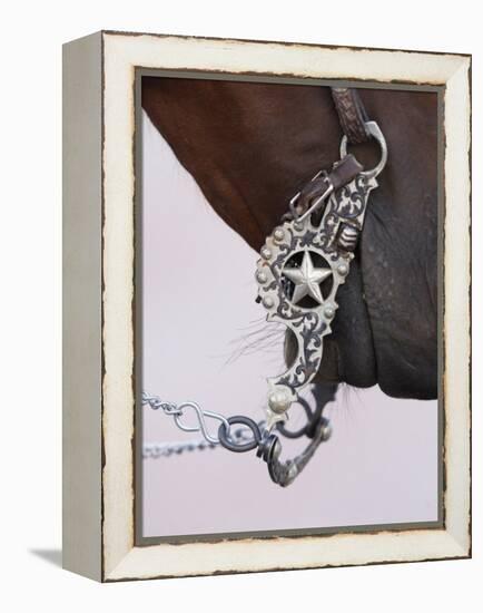 Fancy Silver Bit on Horse Bridle of Cowboy, Flitner Ranch, Shell, Wyoming, USA-Carol Walker-Framed Premier Image Canvas