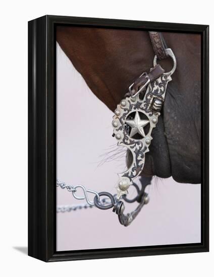 Fancy Silver Bit on Horse Bridle of Cowboy, Flitner Ranch, Shell, Wyoming, USA-Carol Walker-Framed Premier Image Canvas