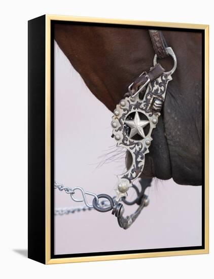 Fancy Silver Bit on Horse Bridle of Cowboy, Flitner Ranch, Shell, Wyoming, USA-Carol Walker-Framed Premier Image Canvas