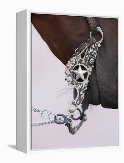 Fancy Silver Bit on Horse Bridle of Cowboy, Flitner Ranch, Shell, Wyoming, USA-Carol Walker-Framed Premier Image Canvas