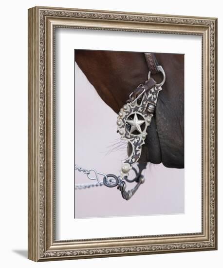 Fancy Silver Bit on Horse Bridle of Cowboy, Flitner Ranch, Shell, Wyoming, USA-Carol Walker-Framed Photographic Print