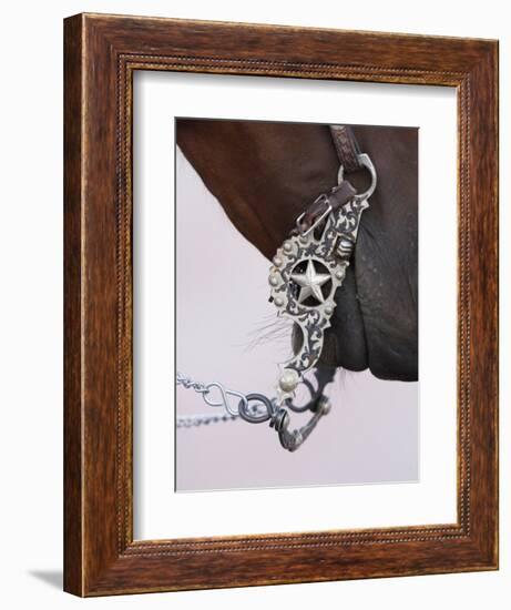 Fancy Silver Bit on Horse Bridle of Cowboy, Flitner Ranch, Shell, Wyoming, USA-Carol Walker-Framed Photographic Print