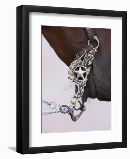 Fancy Silver Bit on Horse Bridle of Cowboy, Flitner Ranch, Shell, Wyoming, USA-Carol Walker-Framed Photographic Print