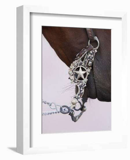 Fancy Silver Bit on Horse Bridle of Cowboy, Flitner Ranch, Shell, Wyoming, USA-Carol Walker-Framed Photographic Print