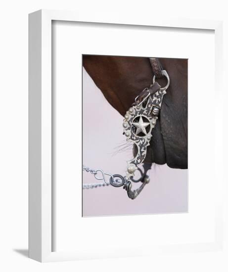 Fancy Silver Bit on Horse Bridle of Cowboy, Flitner Ranch, Shell, Wyoming, USA-Carol Walker-Framed Photographic Print