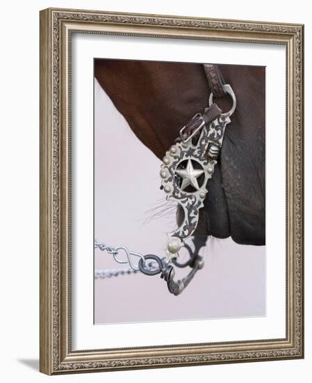 Fancy Silver Bit on Horse Bridle of Cowboy, Flitner Ranch, Shell, Wyoming, USA-Carol Walker-Framed Photographic Print