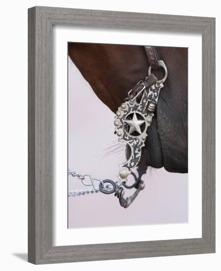 Fancy Silver Bit on Horse Bridle of Cowboy, Flitner Ranch, Shell, Wyoming, USA-Carol Walker-Framed Photographic Print