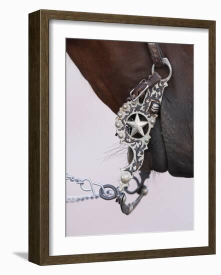 Fancy Silver Bit on Horse Bridle of Cowboy, Flitner Ranch, Shell, Wyoming, USA-Carol Walker-Framed Photographic Print