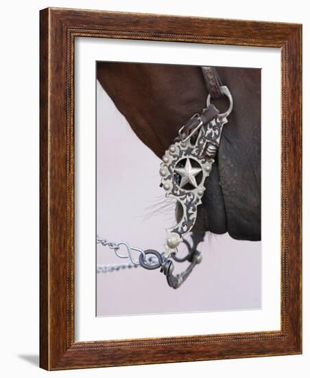 Fancy Silver Bit on Horse Bridle of Cowboy, Flitner Ranch, Shell, Wyoming, USA-Carol Walker-Framed Photographic Print