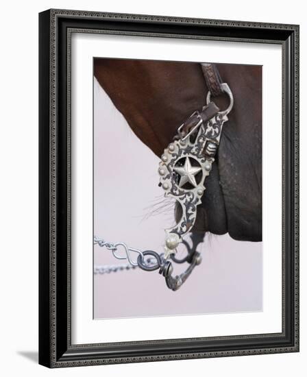 Fancy Silver Bit on Horse Bridle of Cowboy, Flitner Ranch, Shell, Wyoming, USA-Carol Walker-Framed Photographic Print