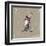 Fancypants Cats II-Hammond Gower-Framed Art Print