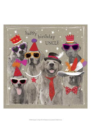 fancy pants for dogs