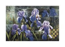 Grand Irises-Fangyu Meng-Stretched Canvas