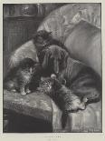 Velvet Paws-Fannie Moody-Giclee Print