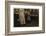 Fannie-Lewis Wickes Hine-Framed Photographic Print