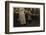 Fannie-Lewis Wickes Hine-Framed Photographic Print