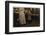 Fannie-Lewis Wickes Hine-Framed Photographic Print