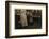 Fannie-Lewis Wickes Hine-Framed Photographic Print