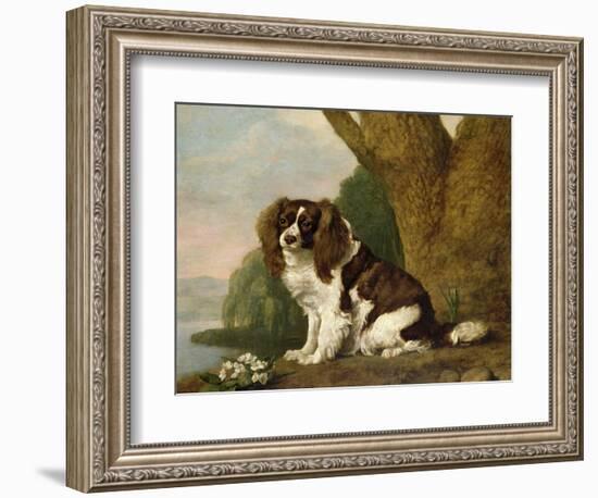 Fanny, a Brown and White Spaniel, 1778-George Stubbs-Framed Giclee Print