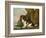 Fanny, a Brown and White Spaniel, 1778-George Stubbs-Framed Giclee Print