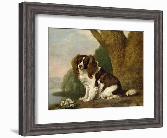 Fanny, a Brown and White Spaniel, 1778-George Stubbs-Framed Giclee Print