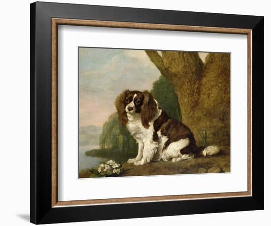 Fanny, a Brown and White Spaniel, 1778-George Stubbs-Framed Giclee Print