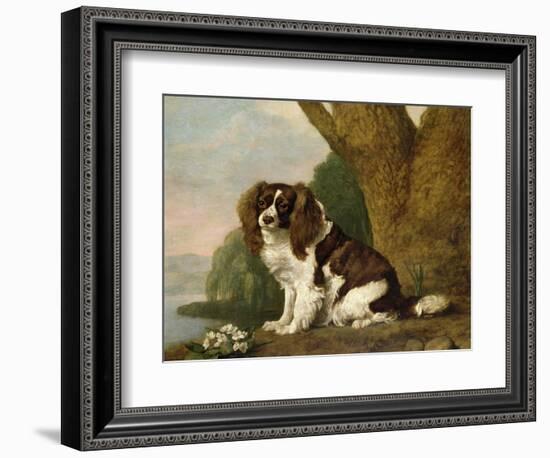 Fanny, a Brown and White Spaniel, 1778-George Stubbs-Framed Giclee Print