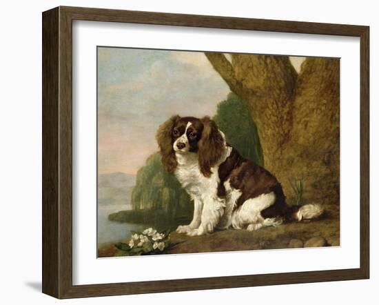 Fanny, a Brown and White Spaniel, 1778-George Stubbs-Framed Giclee Print