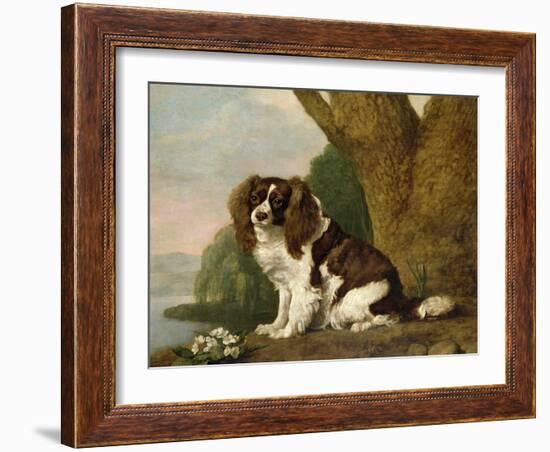 Fanny, a Brown and White Spaniel, 1778-George Stubbs-Framed Giclee Print
