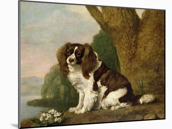 Fanny, a Brown and White Spaniel, 1778-George Stubbs-Mounted Giclee Print