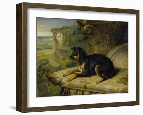 Fanny, a Favourite Dog, 1822-James Ward-Framed Giclee Print