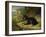 Fanny, a Favourite Dog, 1822-James Ward-Framed Giclee Print