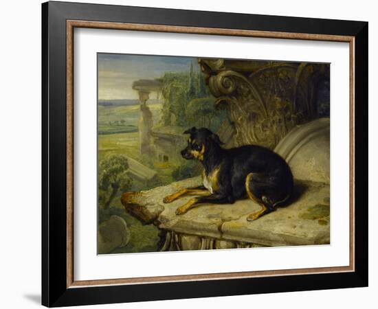 Fanny, a Favourite Dog, 1822-James Ward-Framed Giclee Print