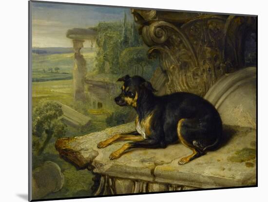 Fanny, a Favourite Dog, 1822-James Ward-Mounted Giclee Print