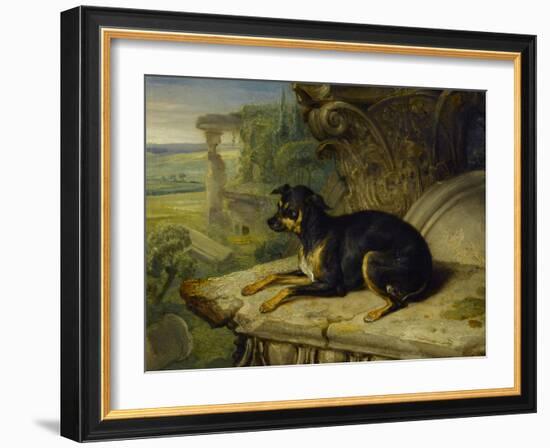 Fanny, a Favourite Dog, 1822-James Ward-Framed Premium Giclee Print