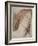 Fanny Cornforth, Study for 'Fair Rosamund', 1861-Dante Gabriel Rossetti-Framed Giclee Print