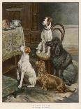 Four Dogs Lust after Their Owners' Food-Fanny Moody-Laminated Photographic Print