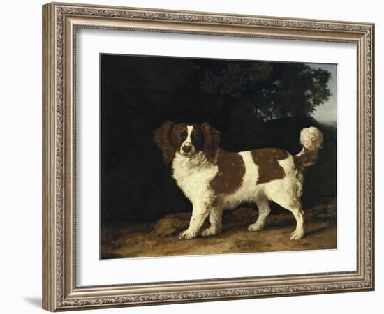 Fanny, the Favourite Spaniel of Mrs. Musters, Standing in a Wooded Landscape, 1777-George Stubbs-Framed Giclee Print