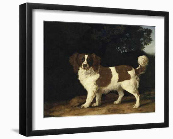 Fanny, the Favourite Spaniel of Mrs. Musters, Standing in a Wooded Landscape, 1777-George Stubbs-Framed Giclee Print
