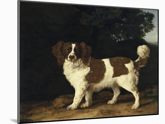 Fanny, the Favourite Spaniel of Mrs. Musters, Standing in a Wooded Landscape, 1777-George Stubbs-Mounted Giclee Print