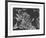 Fanny Wocke-Ernst Ludwig Kirchner-Framed Premium Giclee Print