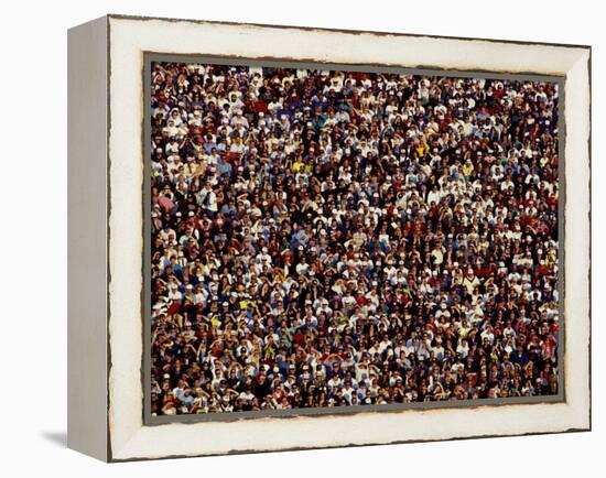 Fans at Sporting Event-null-Framed Premier Image Canvas