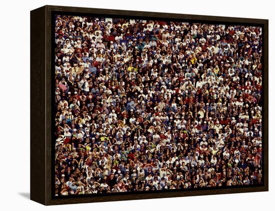 Fans at Sporting Event-null-Framed Premier Image Canvas