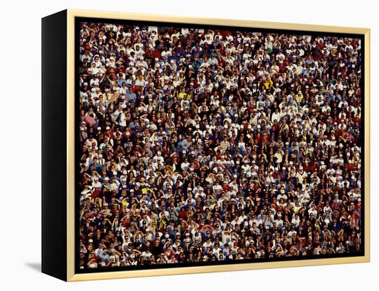 Fans at Sporting Event-null-Framed Premier Image Canvas