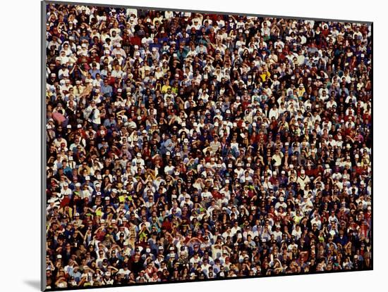 Fans at Sporting Event-null-Mounted Photographic Print