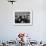 Fans Cheering at the Army-Navy Football Game-Ralph Morse-Framed Photographic Print displayed on a wall