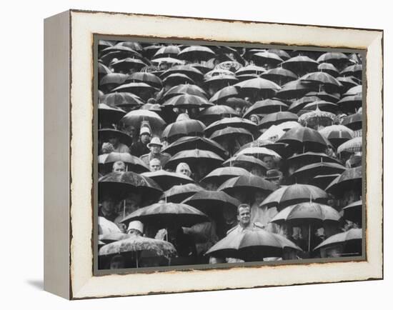 Fans, Sitting in Rain, at Purdue Homecoming Game-Francis Miller-Framed Premier Image Canvas