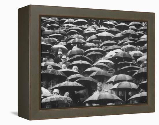 Fans, Sitting in Rain, at Purdue Homecoming Game-Francis Miller-Framed Premier Image Canvas