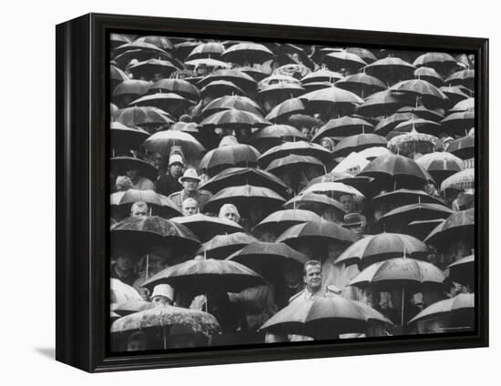 Fans, Sitting in Rain, at Purdue Homecoming Game-Francis Miller-Framed Premier Image Canvas