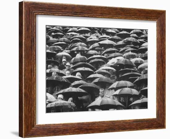 Fans, Sitting in Rain, at Purdue Homecoming Game-Francis Miller-Framed Photographic Print